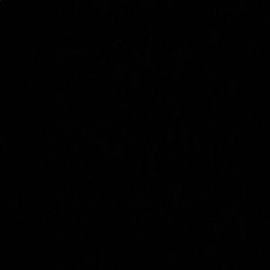 Meet your Posher, Amelia